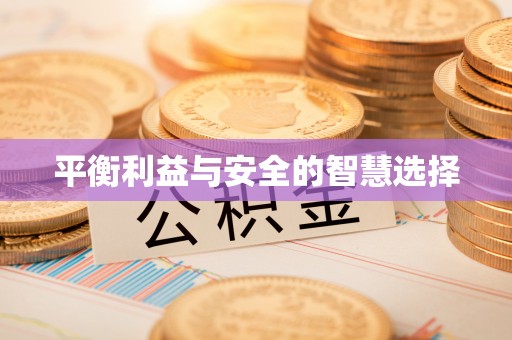 文山平衡利益与安全的智慧选择