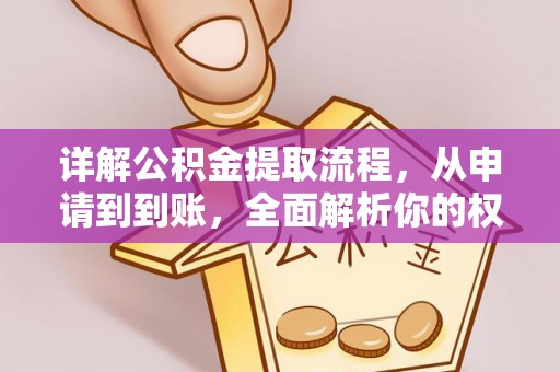 文山详解公积金提取流程，从申请到到账，全面解析你的权益与操作步骤
