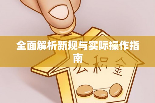 文山全面解析新规与实际操作指南