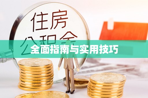文山全面指南与实用技巧