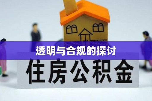 文山透明与合规的探讨