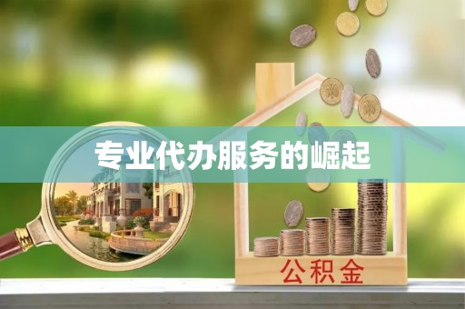 文山专业代办服务的崛起