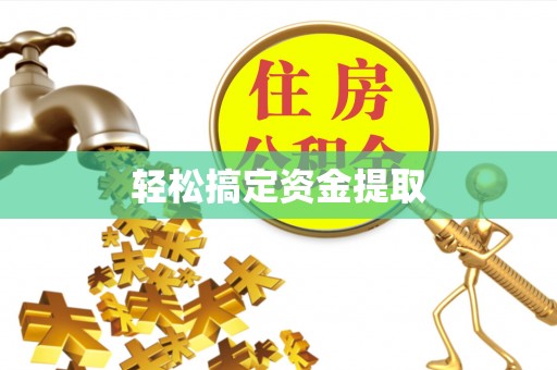 文山轻松搞定资金提取