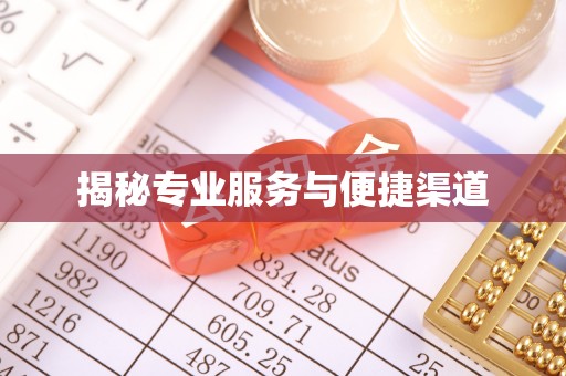 文山揭秘专业服务与便捷渠道