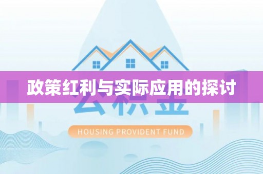 文山政策红利与实际应用的探讨