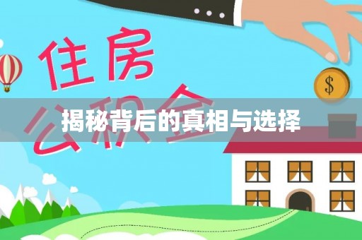文山揭秘背后的真相与选择