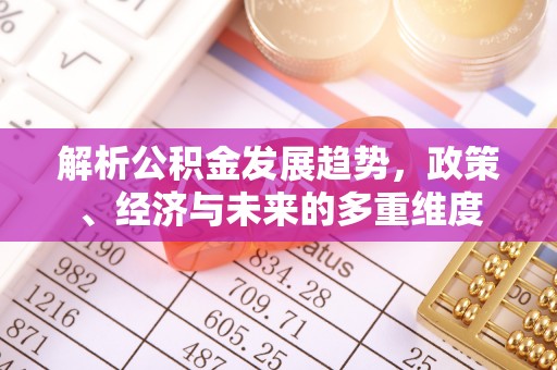 文山解析公积金发展趋势，政策、经济与未来的多重维度