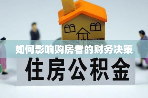文山如何影响购房者的财务决策