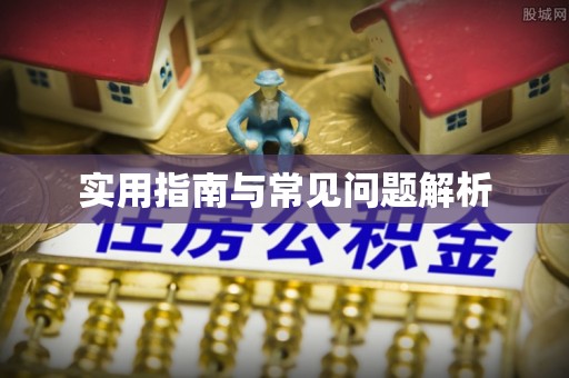 文山实用指南与常见问题解析