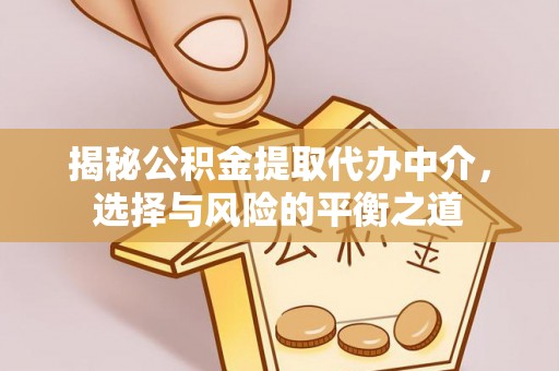 文山揭秘公积金提取代办中介，选择与风险的平衡之道