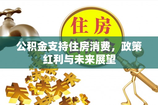 文山公积金支持住房消费，政策红利与未来展望