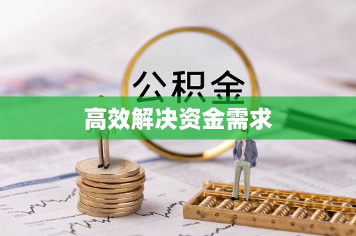 文山高效解决资金需求