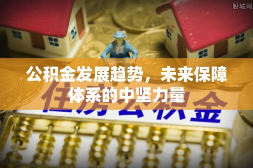 文山公积金发展趋势，未来保障体系的中坚力量