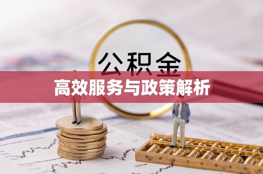 文山高效服务与政策解析
