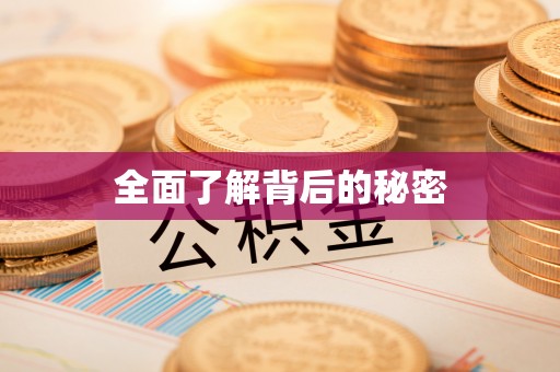 文山全面了解背后的秘密