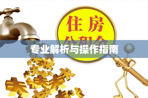 文山专业解析与操作指南