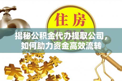 文山揭秘公积金代办提取公司，如何助力资金高效流转