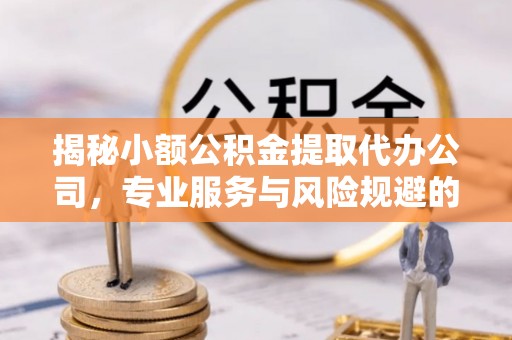 文山揭秘小额公积金提取代办公司，专业服务与风险规避的平衡艺术