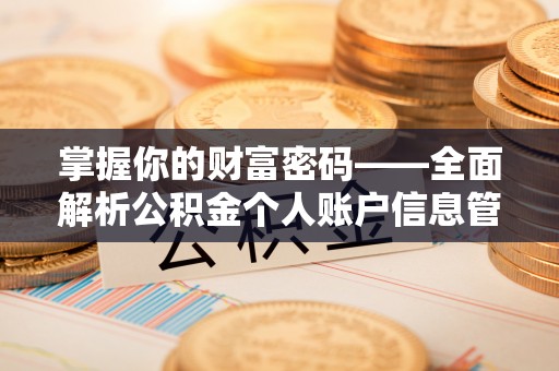 文山掌握你的财富密码——全面解析公积金个人账户信息管理与优化