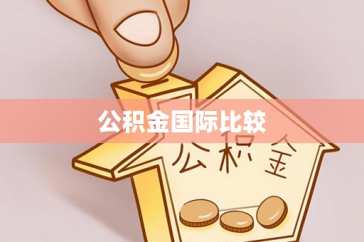 文山公积金国际比较
