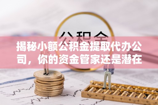 文山揭秘小额公积金提取代办公司，你的资金管家还是潜在风险？