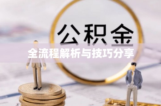 文山全流程解析与技巧分享